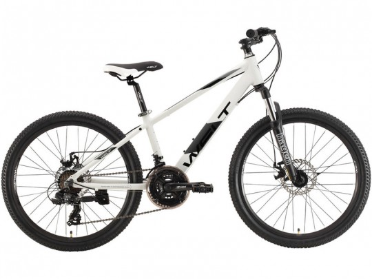 Welt Peak 24 D (2021)