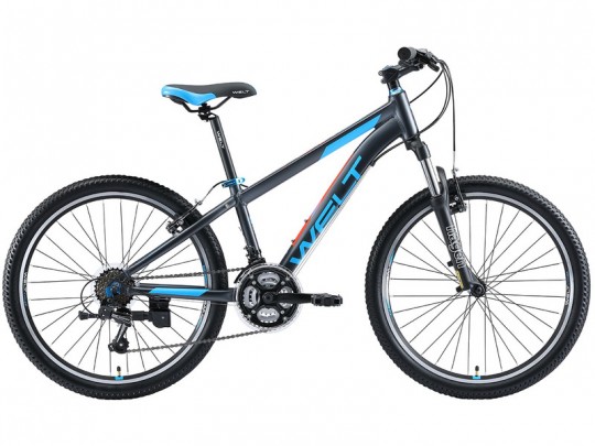 Welt Peak 24 V (2020)
