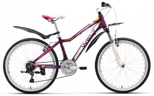 ������������ ��������� Welt Edelweiss 24 (2017)