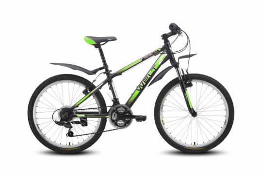 ������������ ��������� Welt Peak 24 (2016)